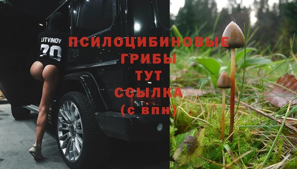 дистиллят марихуана Магас